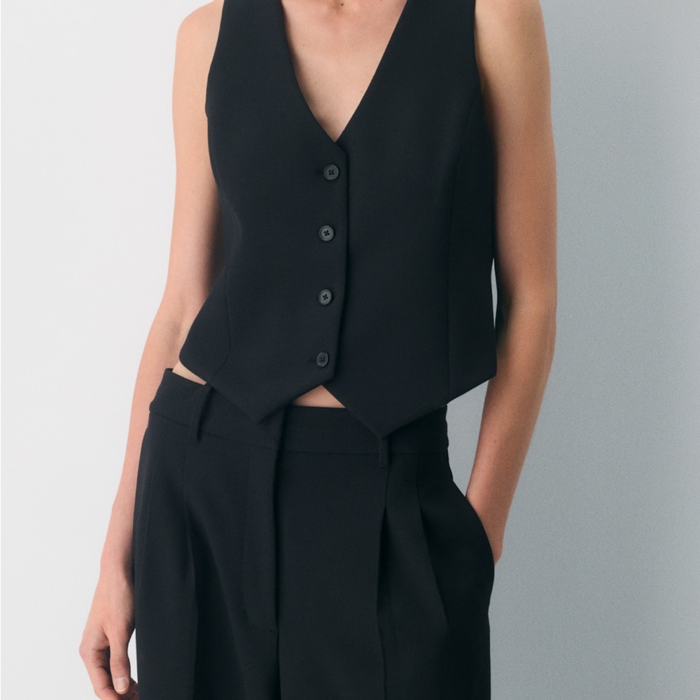 Aritzia deniro vest